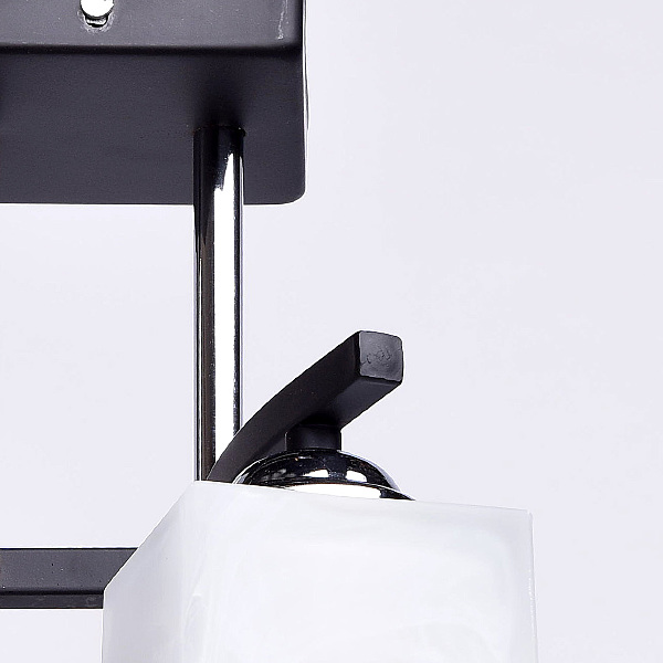 Потолочная люстра Тетро 673011004