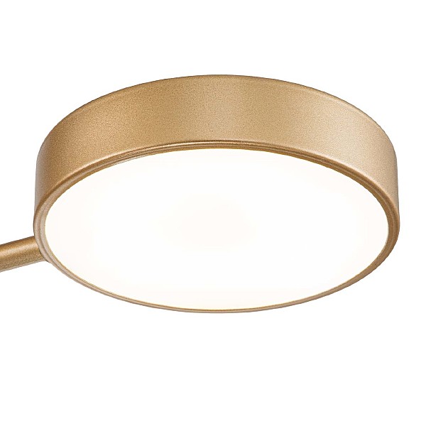 Потолочная люстра Skylar 10258/3LED