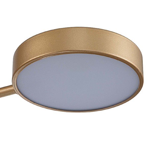 Потолочная люстра Skylar 10258/3LED