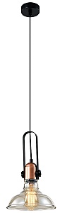 Светильник подвесной Leila 4093-201