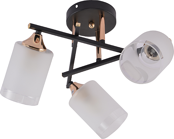 Потолочная люстра Fiona 3163-303