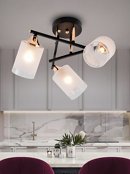 Потолочная люстра Fiona 3163-303