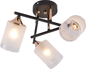 Потолочная люстра Fiona 3163-303