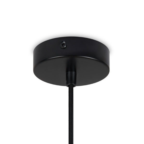 Светильник подвесной AvaGarden FR5249PL-03BG