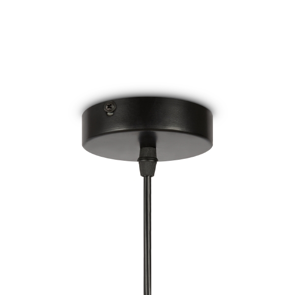 Светильник подвесной AvaGarden FR5249PL-03BG