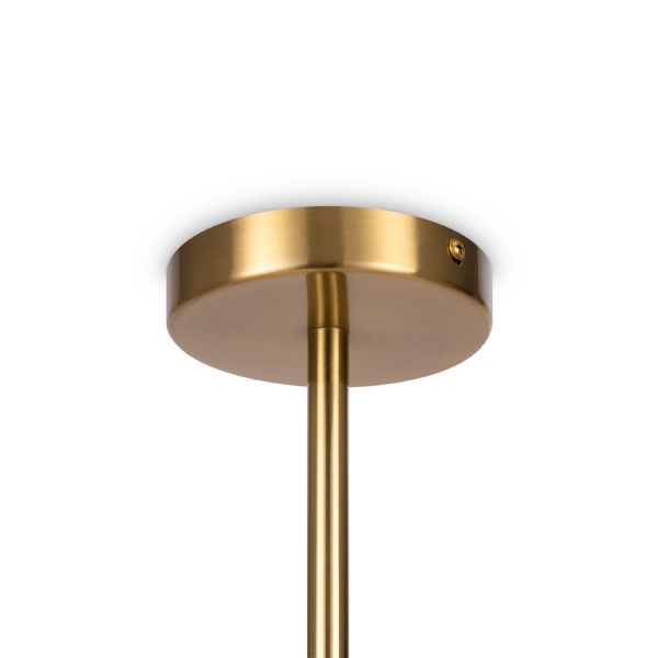 Люстра на штанге Blossom FR5259PL-02BS