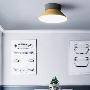 Светильник потолочный Knap01 193555-26