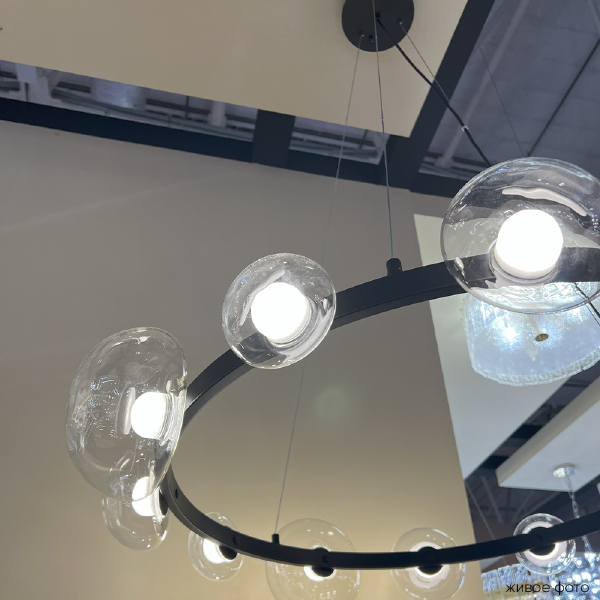 Подвесная люстра Bosque BOSQUE SP12 BLACK/TRANSPARENT
