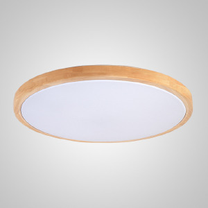 Светильник потолочный Disc-W01 240933-26