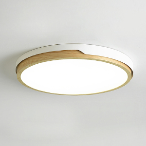 Светильник потолочный Lid01 241181-26