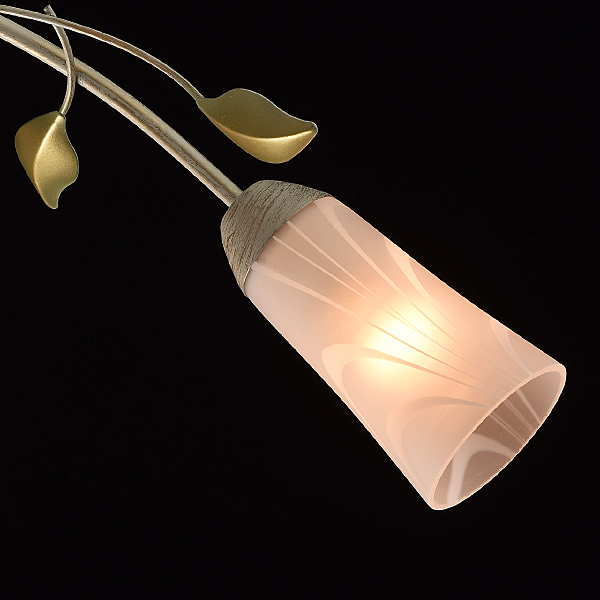 Потолочная люстра Восторг 242015306