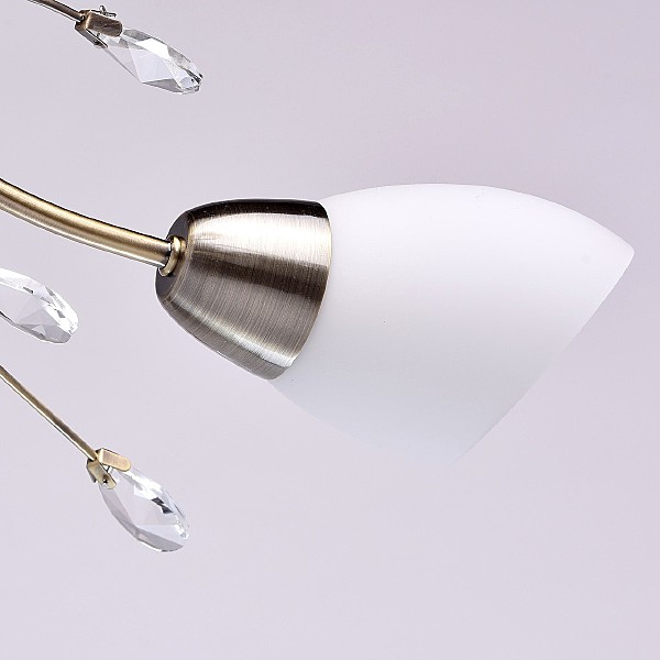 Потолочная люстра Нежность 356012905