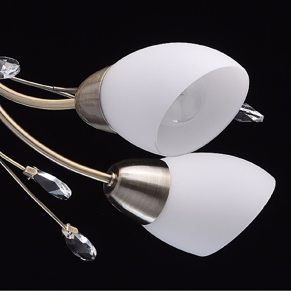 Потолочная люстра Нежность 356012905