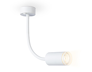 Светильник потолочный Wall FW2469