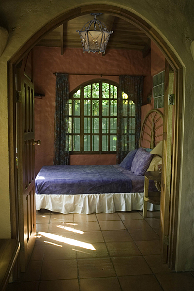 Потолочная люстра Айвенго 382012503