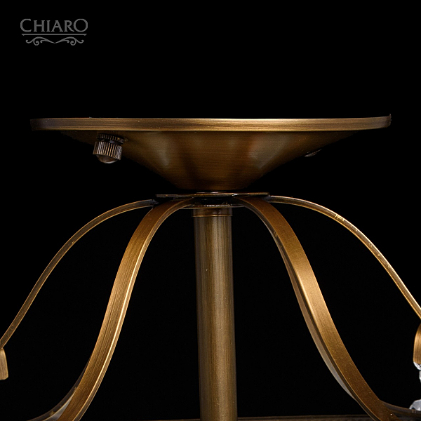 Потолочная люстра Селена 482010204