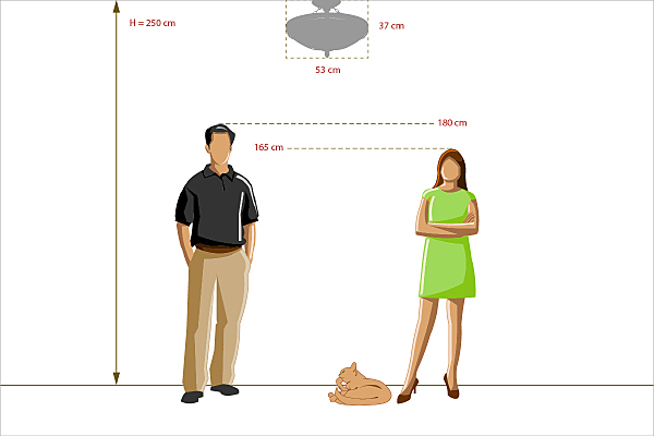 Потолочная люстра Айвенго 382018205