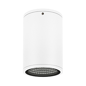 Уличный потолочный светильник Arlight 037259