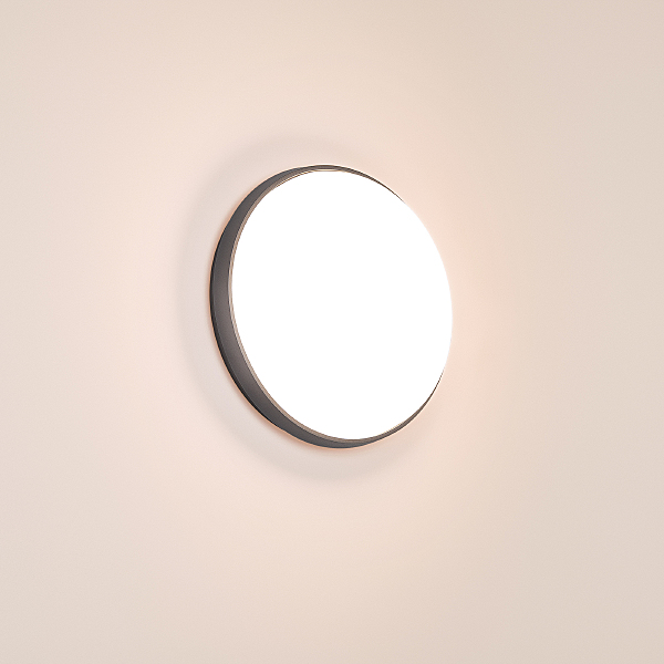 Уличный потолочный светильник Arlight 032425