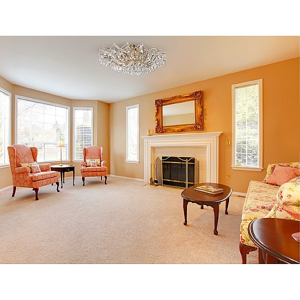 Потолочная люстра Луиза 383010210