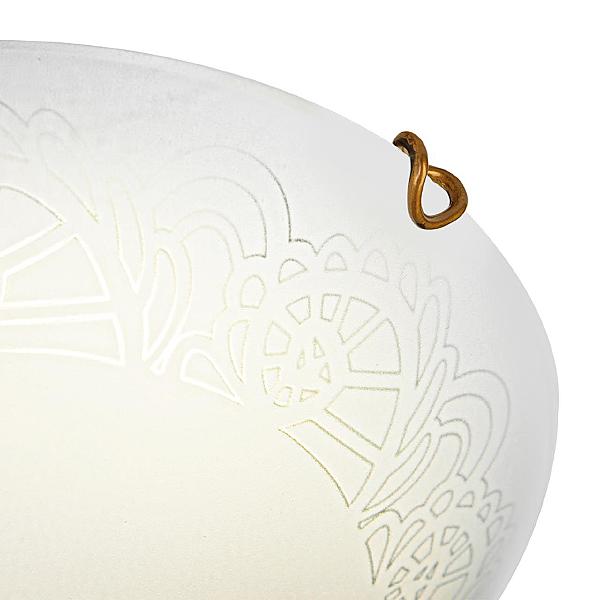 Настенно потолочный светильник Ammonite 7602/DL