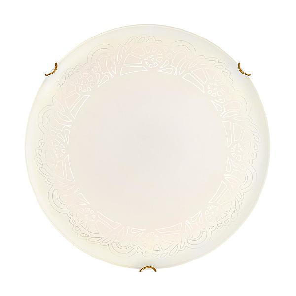 Настенно потолочный светильник Ammonite 7602/DL