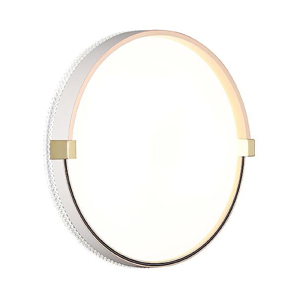 Настенно потолочный светильник Olidi White 7646/CL