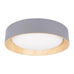 Светильник потолочный Coin 10202 Grey