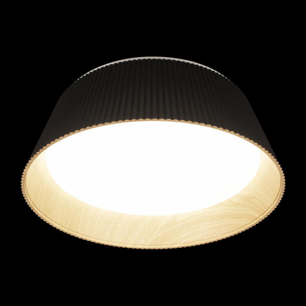 Светильник потолочный Evans 10224 Black