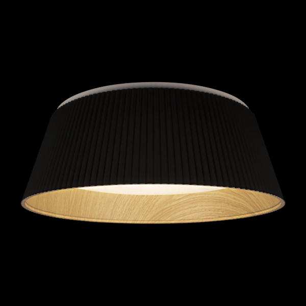 Светильник потолочный Evans 10224 Black