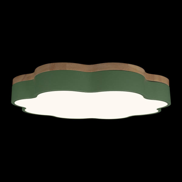 Светильник потолочный Axel 10225/36 Green
