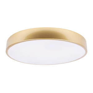 Светильник потолочный Flims 10228/A