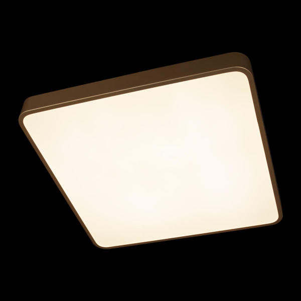 Светильник потолочный Flims 10228/D