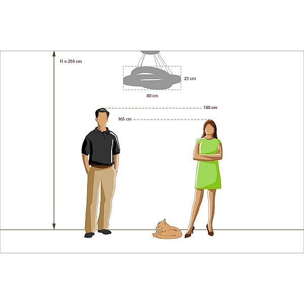 Подвесная люстра Chiaro Гослар 498012202