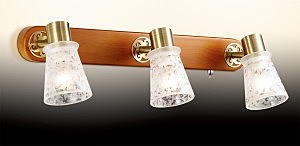 Подсветка Odeon Light  Blanca 2614/3W