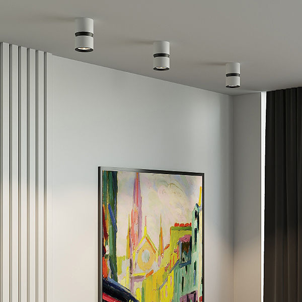 Накладной светильник Kayo 25049/LED 12W 4000К белый/чёрный