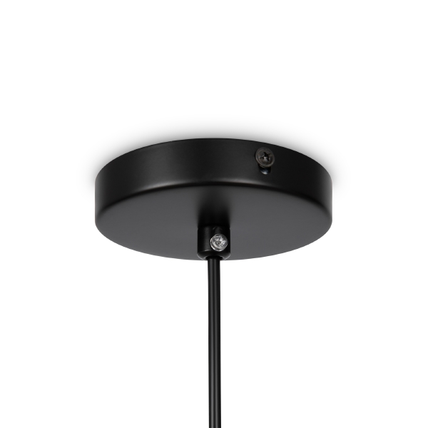 Светильник подвесной Eleon FR5218PL-01B1