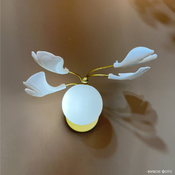 Настенное бра Colibri COLIBRI AP1 GOLD