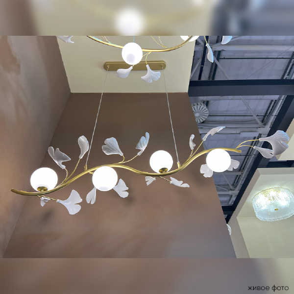 Подвесная люстра Colibri COLIBRI SP4 GOLD