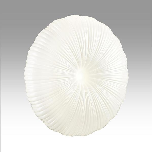 Настенно потолочный светильник Anix 7678/FL