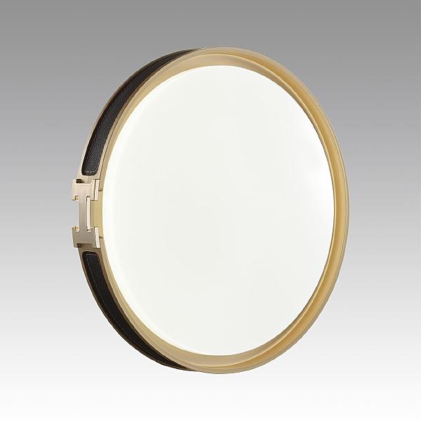 Настенно потолочный светильник Favemo Black 7667/DL