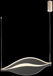 Подвесная люстра Hetti WE450.01.323