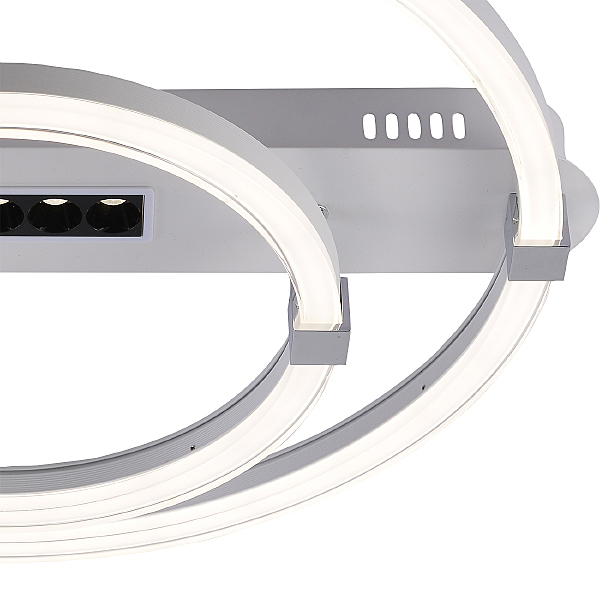 Потолочная люстра Aspect 10253/2LED