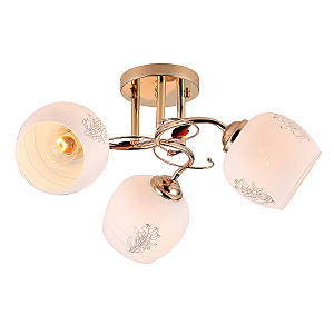 Потолочная люстра Anemone 1121/3PL