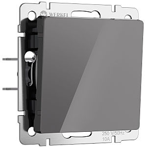 Выключатель Werkel W1110044/ Выключатель одноклавишный (графит акрил)