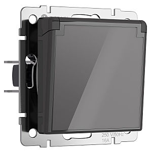 Розетка Werkel W1171244/ Розетка влагозащ. с зазем. с защит. крышкой и шторками (графит акрил)