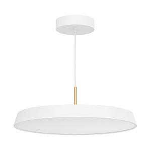 Светильник подвесной Elegant 033924