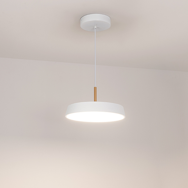 Светильник подвесной Elegant 033919