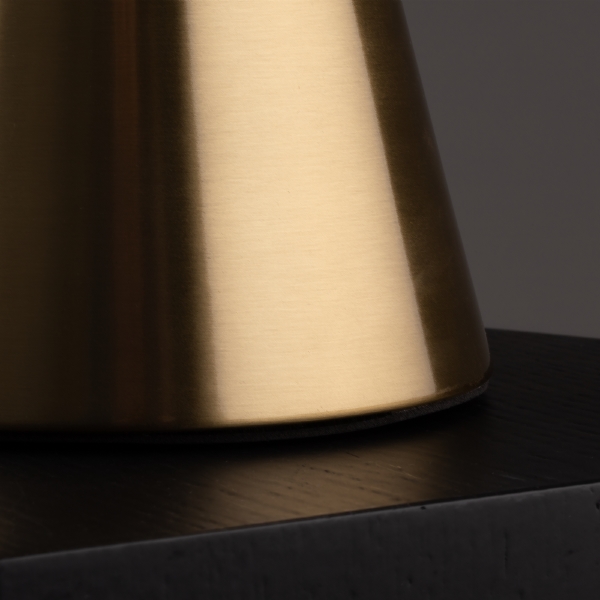 Настольная лампа Glow FR5289TL-01BS