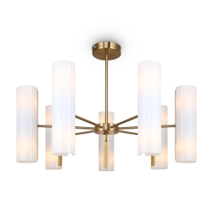 Потолочная люстра Fiore FR5368CL-14BS